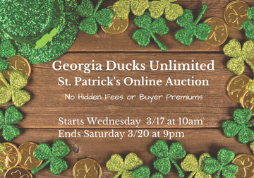Event St. Patrick's Online Auction