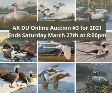 Event AK DU Online Auction 2021 #3