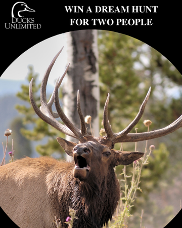 Event WIN - Colorado Elk Dream Hunt For Two People