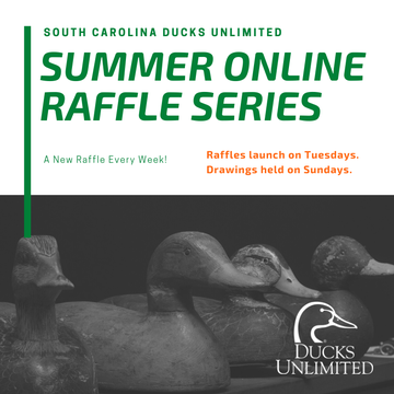Event SCDU Summer Online Raffle Series