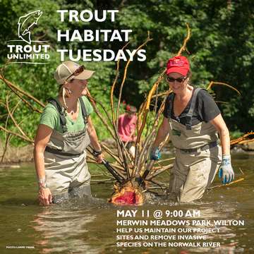 Event Trout Habitat Tuesday