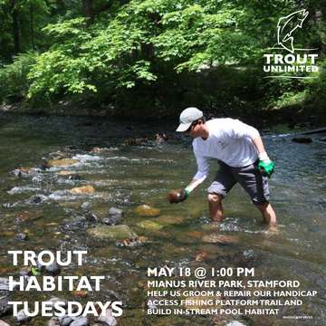 Event Trout Habitat Tuesday: Mianus River