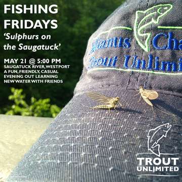 Event Fishing Friday: Saugatuck River