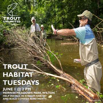 Event Trout Habitat Tuesday: Norwalk River Conifers and Pool Construction
