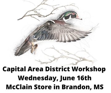 Event Capital Area District Meeting- Brandon
