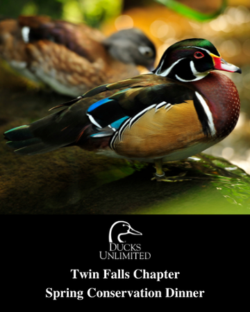 Event Twin Falls Conservation Dinner