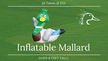 Event Inflatable Mallard