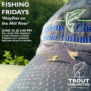 Event Fishing Friday: Mill River Fairfield
