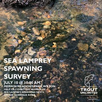 Event Norwalk River Lamprey Spawning Survey