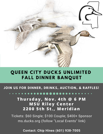 Event Queen City Dinner- Meridian