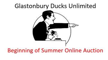 Event Glastonbury Summer Auction and Raffles