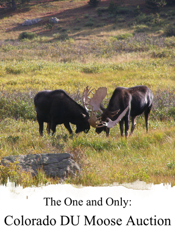 Event Colorado Moose Auction