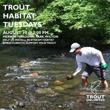 Event Trout Habitat Tuesday: Merwin Meadows Pool Construction