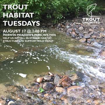 Event Trout Habitat Tuesday: Merwin Meadows Pool Construction