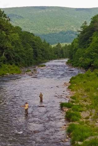 Event Ashokan Pepacton Watershed Chapter of Trout Unlimited, Safe Summer Fishing Outing