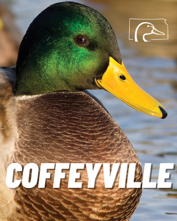 Event Coffeyville Ducks Unlimited Hunter's Party & 21 Gun Raffle