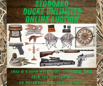 Event Stoddard Online Auction