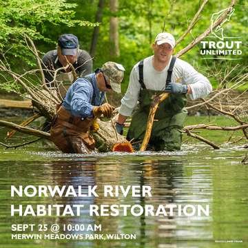 Event Norwalk River Work Day: Building A Conifer Revetment 