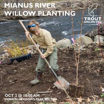 Event Norwalk River Willow Planting Project