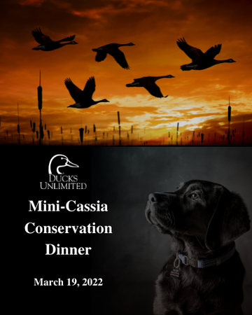 Event Mini-Cassia Dinner