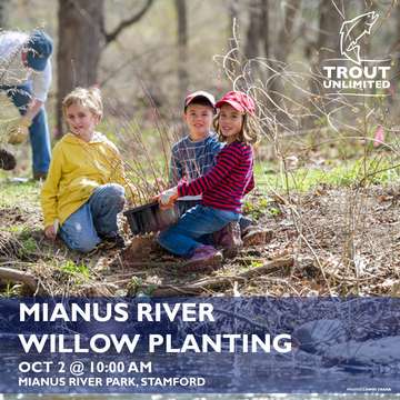 Event Mianus River Willow Planting Project