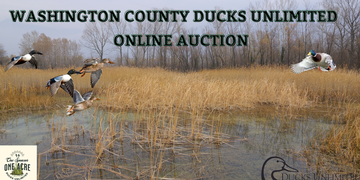 Event Washington County Online Auction
