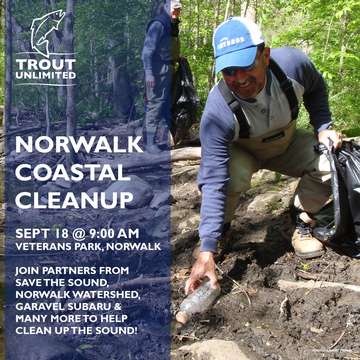 Event CT Coastal Cleanup Day