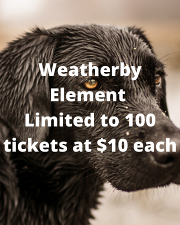 Event Weatherby Element - Online Raffle
