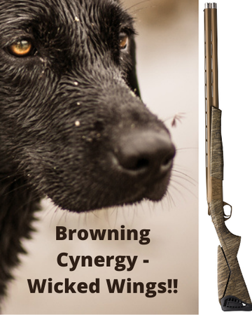 Event Browning Cynergy Online Raffle
