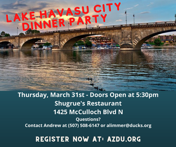 Event Lake Havasu City Dinner & Raffle Party