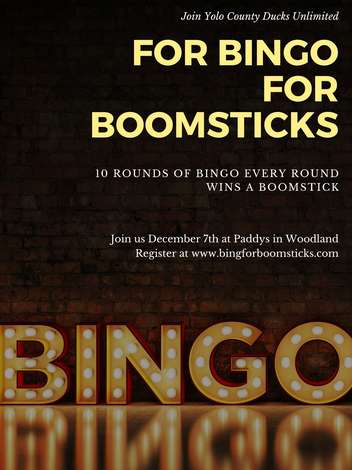 Event Yolo County Bingo for Boomsticks
