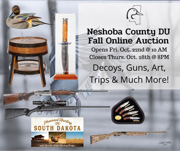Event Neshoba County Online Auction