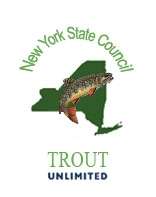 Event New York State Council Mid-Year Member Meeting at the Tailwater Lodge