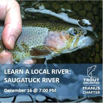 Event Learn A Local River: Saugatuck River