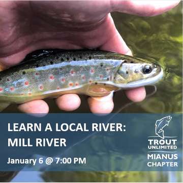 Event Learn A Local River: Mill River