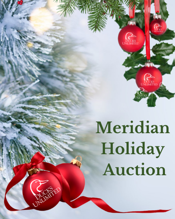 Event Meridian Online Holiday Auction Dec 5th - Dec 9th
