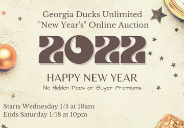 Event New Year's Online Auction