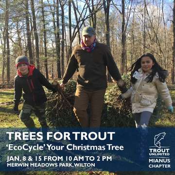 Event Trees for Trout: Merwin Meadows Park, Wilton