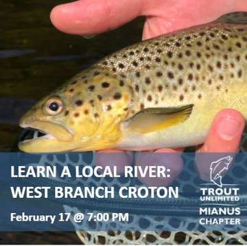 Event Learn A Local River: West Branch Croton