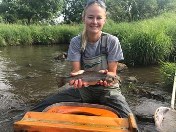 Event Brook and Brown trout responses to habitat improvement projects