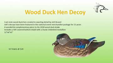 Event Wood Duck Hen Decoy