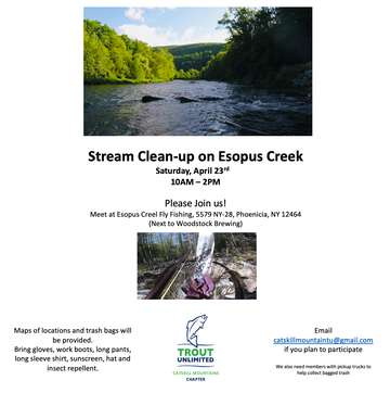 Event Stream Clean-up on Esopus Creek