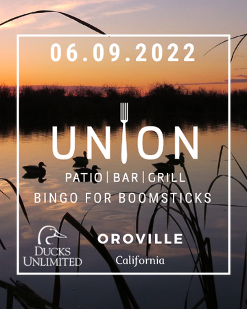 Event Bingo for boomsticks @ Union Bar and Grill