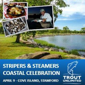 Event Stripers & Steamers at Cove Island