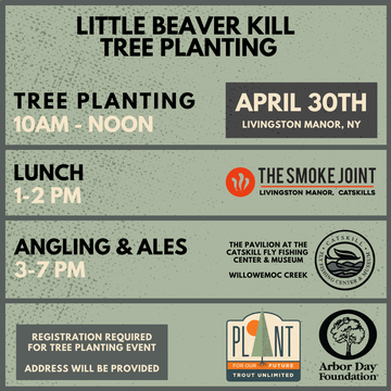 Event Little Beaver Kill - Arbor Day Tree Planting