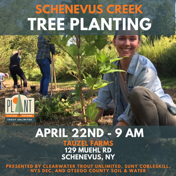 Event Schenevus Creek Tree Planting at Tauzel Farms
