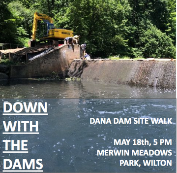 Event Down with the Dams: Dana Dam Removal Walk & Talk