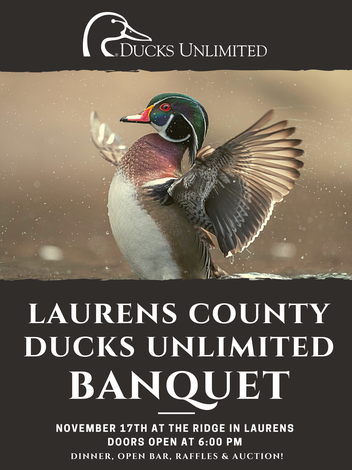 Event Laurens County Annual Banquet