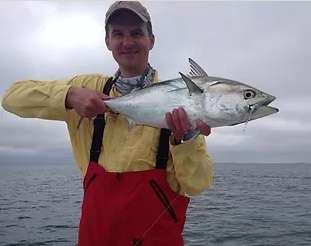 Event Sight Fishing Long Island Sound with Capt. Mark Dysinger on Zoom