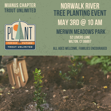 Event Norwalk River Tree Planting with Middlebrook School Students